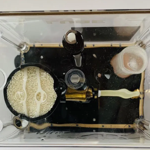 Lube SF-10 Filter Suction Filter