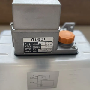 Showa Volumetric Motorized Oil Pump Units LCB48210